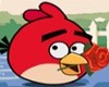 Rolling Angry Birds