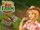 Big Farm