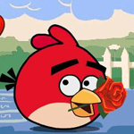 play Rolling Angry Birds