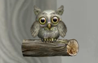 play Cute Owl 2