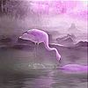 play Thirsty Flamingo Slide Puzzle