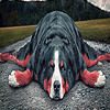 play Old Tired Dog Puzzle