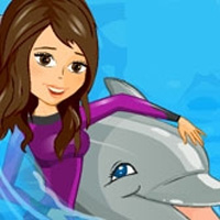 play My Dolphin Show