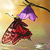 play Colorful Butterflies In Water Puzzle