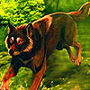 play Green Forest And Wolf Puzzle