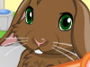 play Pet Bunny