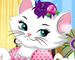 play Precious Kitty