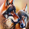 play Woods Wolves Couple Puzzle