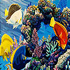 play Tropical Colorful Fishes Puzzle