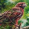 play Alone Mountain Hawk Puzzle