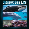 play Jigsaw: Sea Life