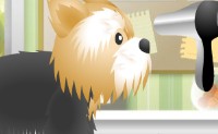 play Pet Grooming Shop