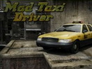 Mad Taxi Driver