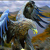 play High Mountain Hawk Puzzle