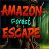 play Amazon Forest Escape