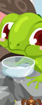 play Gecko Care