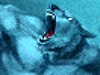 play Dont Escape