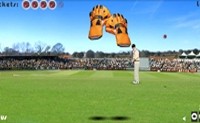 play Test Catch Cricket