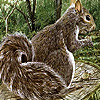 play Scamp Squirrels Puzzle