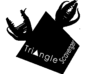 play Triangle Scavenger