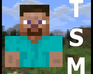 play Talking Steve Online [1.1]