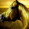 play Long Maned Horse Puzzle