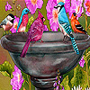 play Thirsty Birds Slide Puzzle