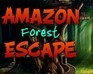 Amazon Forest Escape