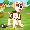 play Puppy Dress Up