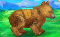 play My Kind Bear