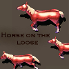 play Horse On The Loose