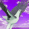 play Flying Albatross Puzzle