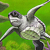 play Big Turtle In The Green Sea Puzzle