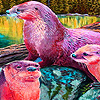 play Cute Otters Family Puzzle