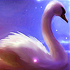 play Dream Swan In The Lake Slide Puzzle