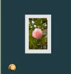 play Escape Of Tea Break