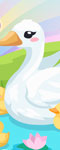 play Duck Care