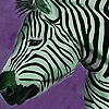 play Zebras In The Desert Puzzle