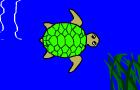 play Terry The Turtle