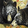 play Grizzly Bears Hibernation Puzzle