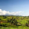play Kenya Jigsaw