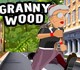 play Angry Gran Run: Grannywood