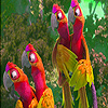 play Red Parrots On Branch Puzzle