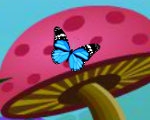 play Colorful Butterflies