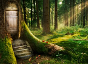 Enchanted Forest Escape