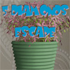 play 5 Diamonds Escape