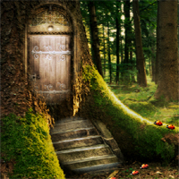 play Enchanted Forest Escape