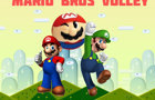 play Mario Bros Volley