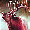 play Brown Mountain Deers Puzzle