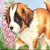 play Lost Puppy Slide Puzzle